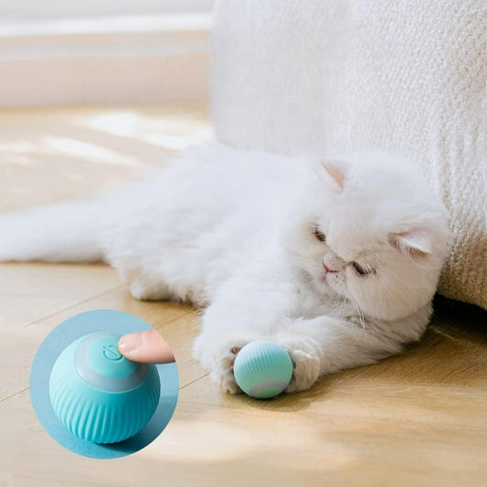 Interactive Ball Smart Toy for Cats and Dogs Pets