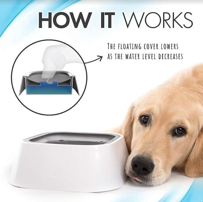 Spillproof Pet Bowl