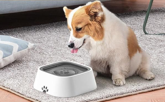 Spillproof Pet Bowl